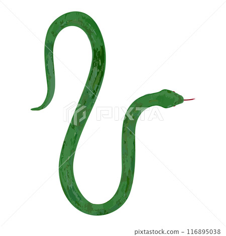 Hand drawn simple green snake illustration Hand drawn simple green snake illustration 116895038