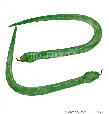 A simple hand-drawn illustration of a green snake in the shape of a snake A simple hand-drawn illustration of a green snake in the shape of a snake 116895039