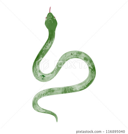 Hand drawn simple green snake illustration Hand drawn simple green snake illustration 116895040