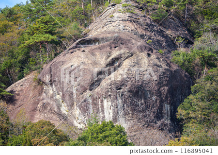 秋天的鹿野獅子岩 秋天的鹿野獅子岩 116895041