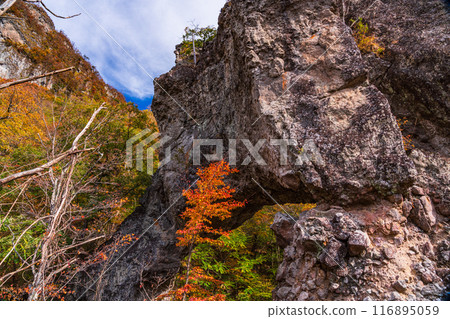 [Gunma Prefecture] Beautiful autumn foliage, visiting the stone gates around the Fourth Stone Gate of Mt. Myogi 116895059