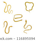 Summary of simple hand-drawn golden snake illustrations 116895094