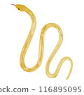 Hand drawn simple golden snake illustration 116895095