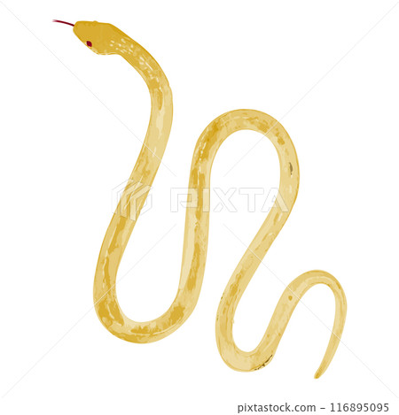 Hand drawn simple golden snake illustration 116895095