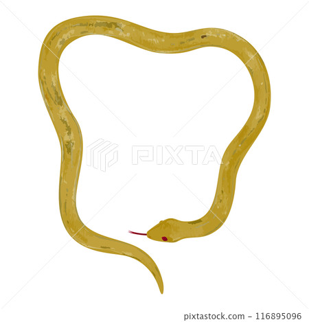 Hand drawn simple golden snake illustration 116895096