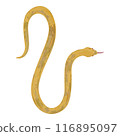 Hand drawn simple golden snake illustration 116895097