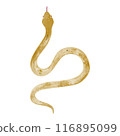 Hand drawn simple golden snake illustration 116895099