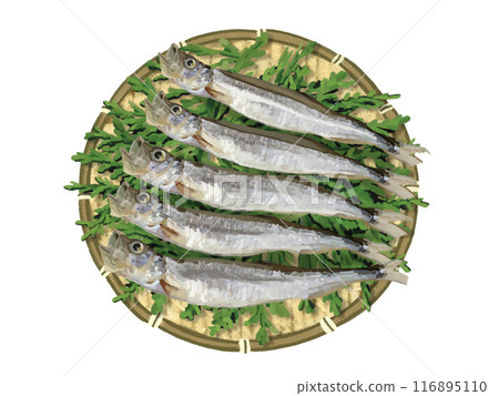 Shishamo (with colander and cedar leaves) Shishamo (with colander and cedar leaves) 116895110