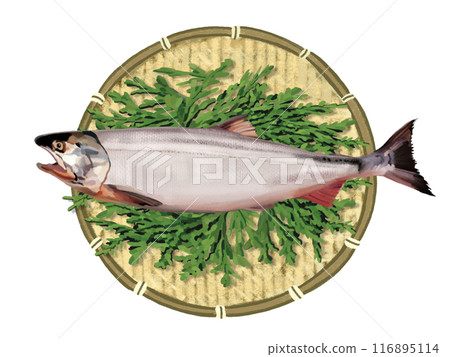 1條鮭魚（附漏杓和扁柏葉） 116895114