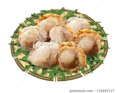 Boiled scallops in a colander with cypress leaves 116895117