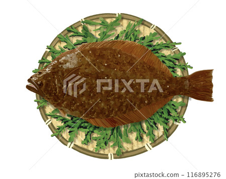 比目魚（有漏杓和柏葉） 116895276
