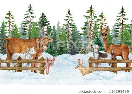 Winter time farm animals on the snowy ground behind wooden fence. Painted illustration. Hand drawn cow, sheep, goat standing behind border. Farm animals winter cold season countryside landscape image 116895489