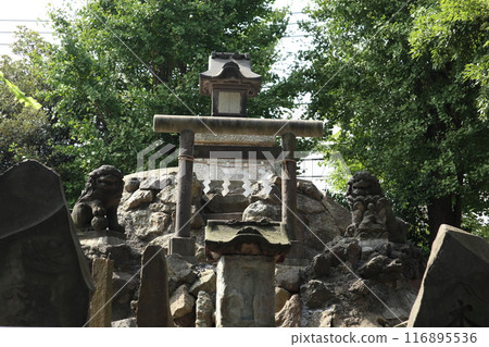 羽田神社藤塚 羽田神社藤塚 116895536