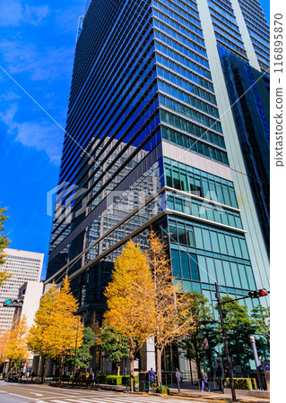 Autumn leaves around Marunouchi, Chiyoda Ward, Tokyo Autumn leaves around Marunouchi, Chiyoda Ward, Tokyo 116895870