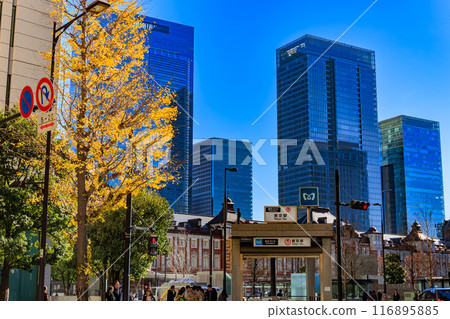 Autumn leaves around Marunouchi, Chiyoda Ward, Tokyo Autumn leaves around Marunouchi, Chiyoda Ward, Tokyo 116895885