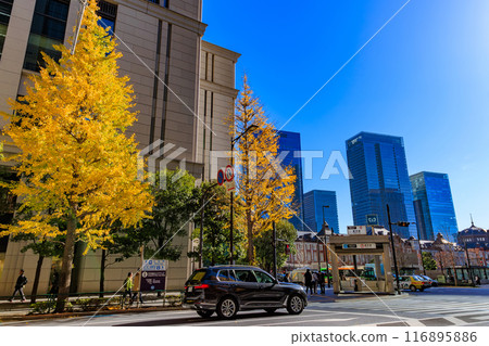 Autumn leaves around Marunouchi, Chiyoda Ward, Tokyo 116895886