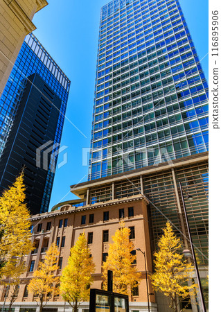 Autumn leaves around Marunouchi, Chiyoda Ward, Tokyo Autumn leaves around Marunouchi, Chiyoda Ward, Tokyo 116895906