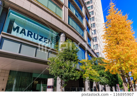 Autumn leaves around Marunouchi, Chiyoda Ward, Tokyo Autumn leaves around Marunouchi, Chiyoda Ward, Tokyo 116895907