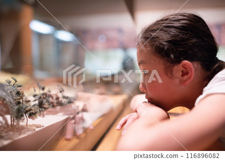 一個女孩盯著展覽的個人資料 116896082