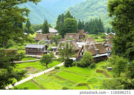 從山上看到的白川鄉和相倉村全景（遠景） 116896251