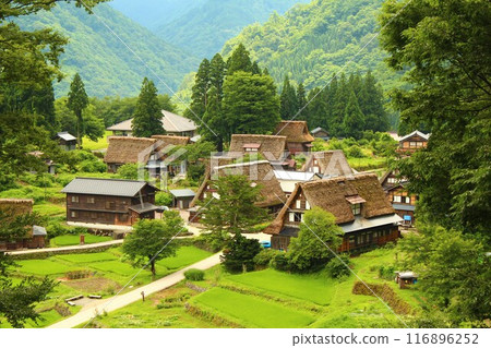 從山上看白川鄉和相倉村的全景（變焦） 116896252