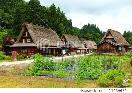 Life in Shirakawa-go and Ainokura villages 116896254