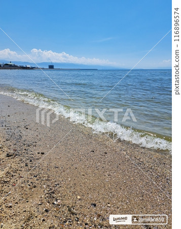 Summer Sea 116896574