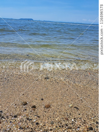 夏天的海 116896578