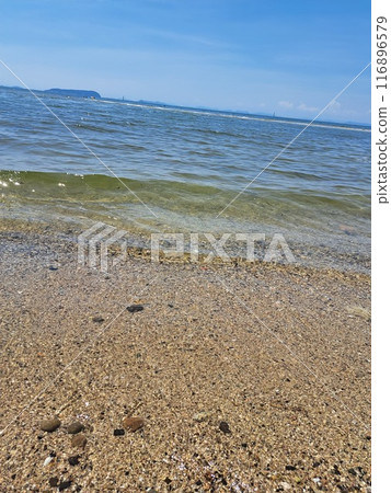 海濱 海濱 116896579