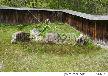 Mantoku-in Temple ruins in spring 116896604