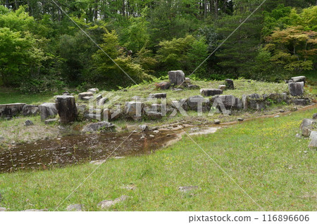 Mantoku-in Temple ruins in spring 116896606