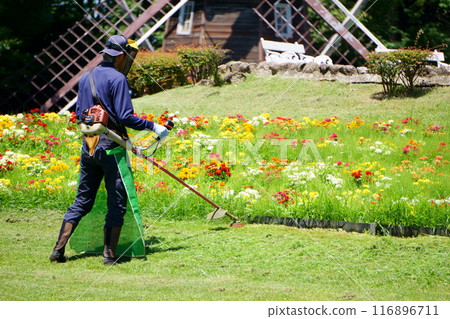 一名男子用電動割草機割草 116896711