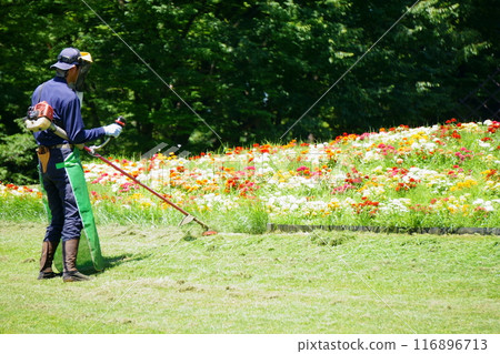 Man mowing the grass with an electric lawnmower Man mowing the grass with an electric lawnmower 116896713