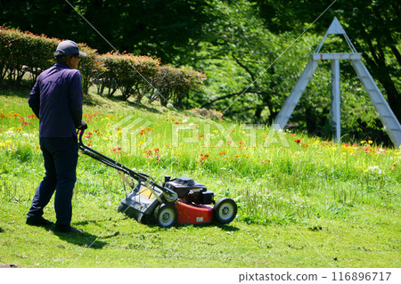 一名男子用電動割草機割草 一名男子用電動割草機割草 116896717
