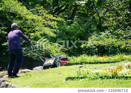 一名男子用電動割草機割草 一名男子用電動割草機割草 116896718