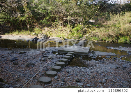 埼玉縣飯能市東峽谷的Doremifa橋 116896802