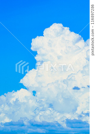 Summer cloud image 116897286