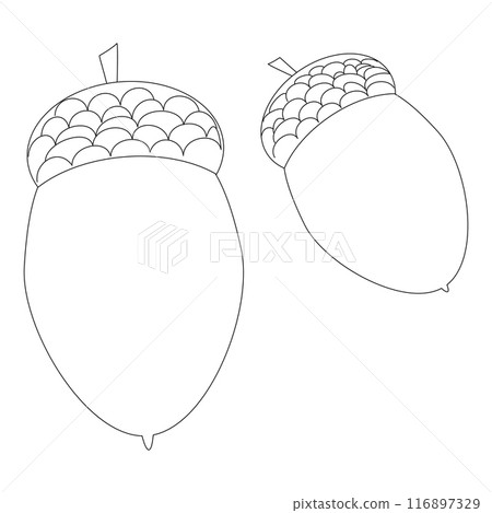 Simple and engaging acorn coloring page for kids. Perfect for fall-themed activities, educational projects, and creative coloring sessions. Simple and engaging acorn coloring page for kids. Perfect for fall-themed activities, educational projects, and creative coloring sessions. 116897329