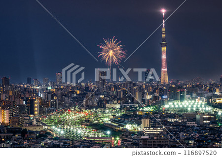 Sumidagawa fireworks festival Sumidagawa fireworks festival 116897520