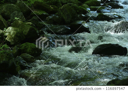 Stream water flow 116897547