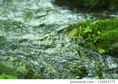 Stream water flow 116897575