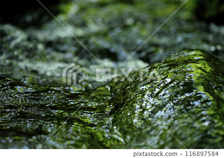 Stream water flow 116897584