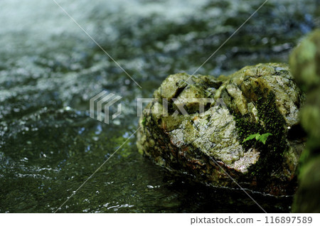 Stream water flow Stream water flow 116897589