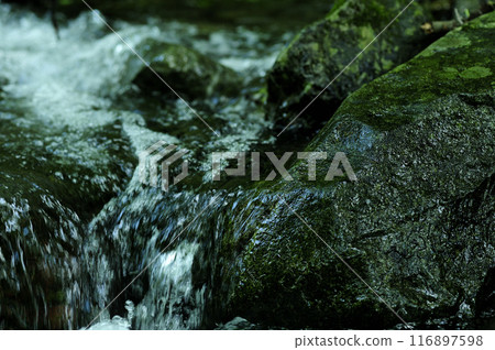 Stream water flow 116897598