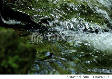 Stream water flow Stream water flow 116897603