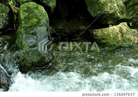 Stream water flow 116897637