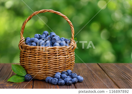 ripe blueberries in wicker basket on wooden table outdoors ripe blueberries in wicker basket on wooden table outdoors 116897892