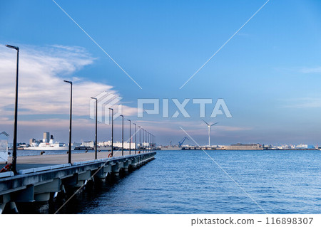 碼頭延伸至夏日蔚藍的大海 116898307