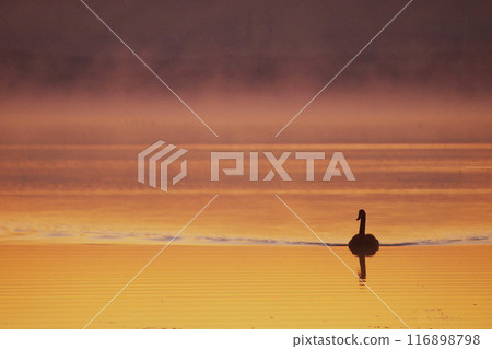 Dawn of Lake Utonai 116898798