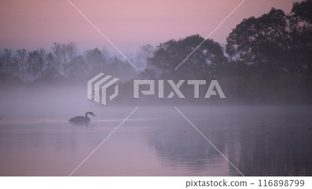 Dawn of Lake Utonai Dawn of Lake Utonai 116898799